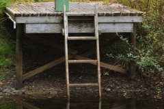 Brian Cooombs - Dock at Pond on Salt Spring Island