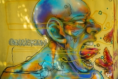 Francis-1-Graffitis