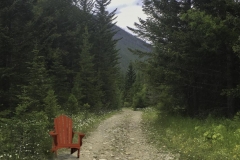 Chuck-Vaugeois-2-Red-Chair-in-the-woods