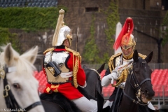 michael-chin-SNT0328-Royal-Guards