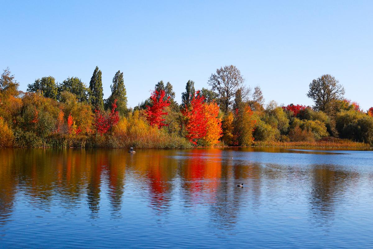 Hendy-Colorful-lake-side