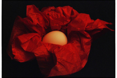 Larry-Hawkins-Egg-on-Red