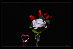 Klaas-Klaas-Hearts-flowers-2