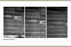 0123-peterlau-Movement-Triptych-2-Peter-Lau
