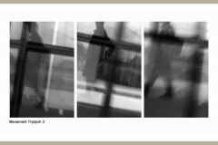 0123-peterlau-Movement-Triptych-3-Peter-Lau