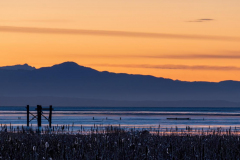 Paul-Rennie-Blue-hour-1