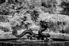 Klaas-Klaas-Butchart-garden-3