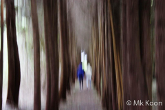 Man-kay-KOON-IMG-4435-2