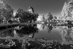 Michael-Chin-Minoru-Park-Faux-IR-