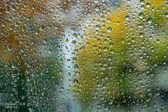 Michael-Chin-Car-window-raindrops