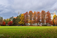 Michael-Chin-Brighouse-Park