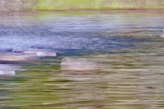 Lien-Ho-ICM-2