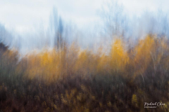 Michael-Chin-_ICM-TN