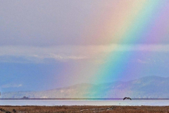 Dorothy-dorothy_2_OpenGallery-DSC00263-Rainbow-at-West-Dyke7