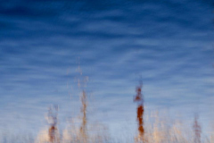 Lien-Ho-Steveston-reflections