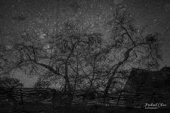 Michael-CHIN-Celestial-pond-RCH