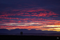 Dorothy-dorothy_1_Open-Gallery-DSC05386-Sunset-at-West-Dyke2