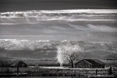 Klaas-Focker-Klaas-open-Gallery-1