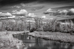 Klaas-Focker-Klaas-open-Gallery-2