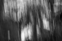 Klaas-Focker-Klaas-ICM-Challenge-1