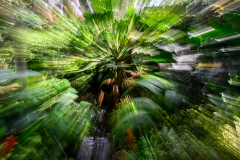 alan-marchant-Jungle-Alive