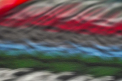dorothy-dorothy_4_ICM-DSC04328-ICM1