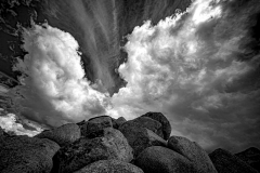 Klaas-Klaas-open-gallery-4