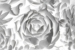 Klaas-Focker-Klaas-Secret-garden-2