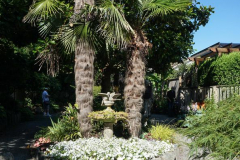 dorothy-1_SecretGarden-DSC00498-Secret-Garden1