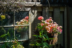 dorothy-3_SecretGarden-DSC00525-Reflections-hghlts931