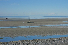 dorothy-6_SecretGarden-DSC00603-Serenity-during-low-tide1
