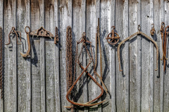 Chuck-Vaugeois-Steves-Farm-2024-1200px-72ppi-6