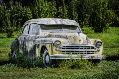 Chuck-Vaugeois-Steves-Farm-2024-1200px-72ppi-9