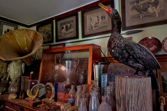 Francis-Harold-Steves-Farm-1-