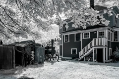 Klaas-Focker-Klaas-Steves-farm-3