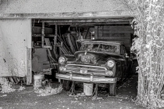 Klaas-Focker-Klaas-Steves-farm-5jpg