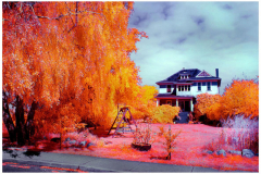 Peter-Lau-Steves-Farm-01