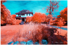 Peter-Lau-Steves-Farm-04
