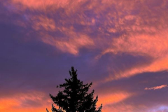 Brenda-Luciuk-Calgary-Sunrise-2