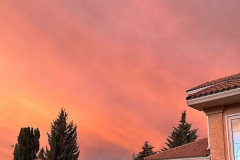 Brenda-Luciuk-Calgary-Sunrise