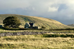 Lien-YD-landscape