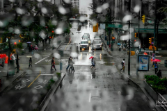 Michael-CHIN-Dunsmuir-Street