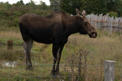 Francis-Omega-Park-5-