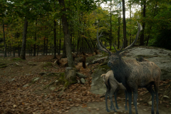 Francis-Omega-Park-8-