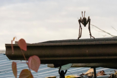 Paul-Rennie-1.-Finn-Slough-metal-bug