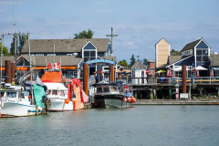 Dorothy-dorothy_5_OpenGallery-DSC01457-Fishermans-Wharf1