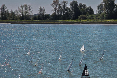 Francis-Model-sail-boats-regatta-5-