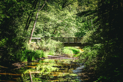 Chuck-Vaugeois-Intimate-Landscape-5