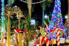 Chuck-Vaugeois-Mexico-Christmas-1