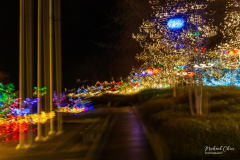 Michael-Chin-2024-Xmas-03